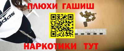 молекула духа Будённовск
