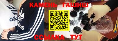 молекула духа Будённовск