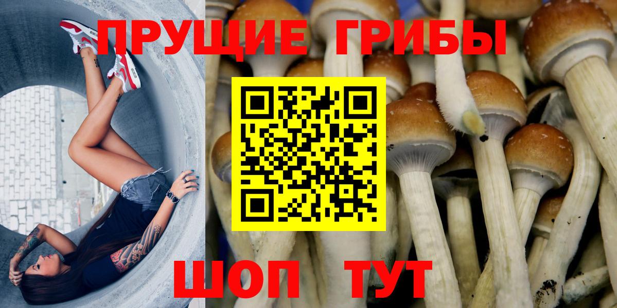 Псилоцибиновые грибы ЛСД Сочи